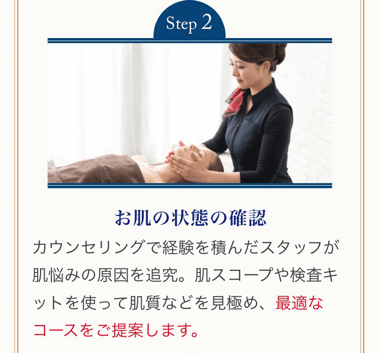 Step2 お肌の状態の確認