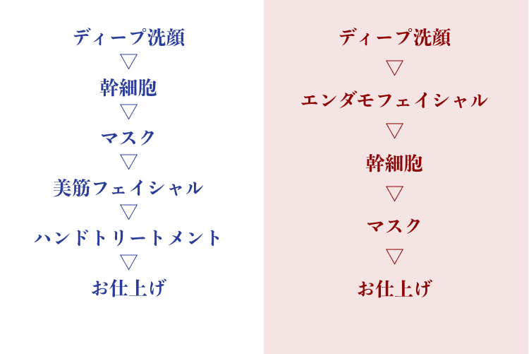 次世代美筋ハンド（75分）、エンダモフェイシャル（60分）